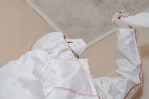 Best Commercial Mold Removal  in New Windsor, MD